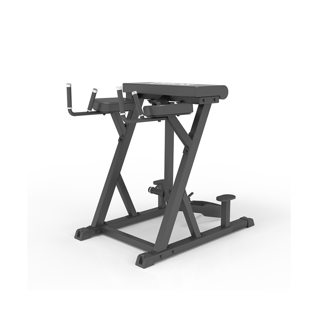 IRONAX XC - RHE Hyperextension inverse