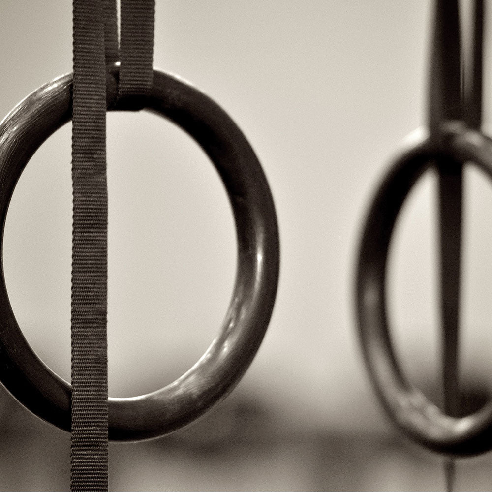 XM Fitness Anneaux de gymnastique noirs résidentiels