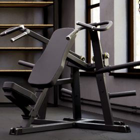 Plate Loaded Workout Machines