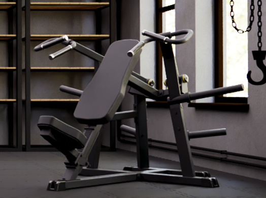 Plate Loaded Workout Machines
