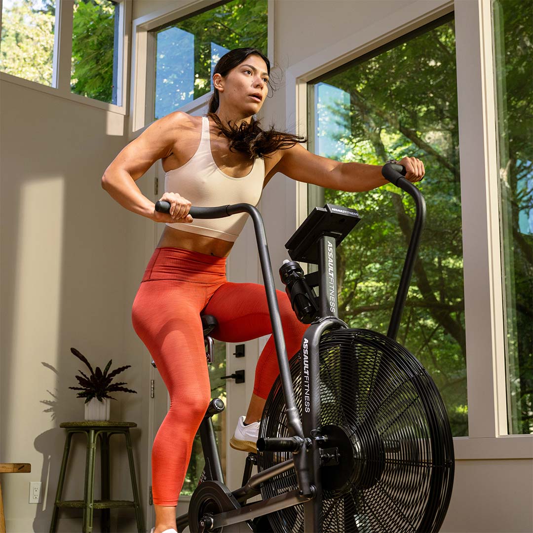 Assault Air Bike Classic