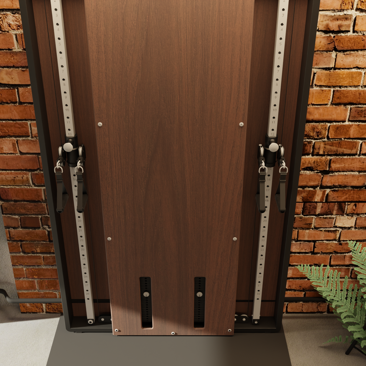 Flow 6 Walnut - Wall Mounted Functional Trainer