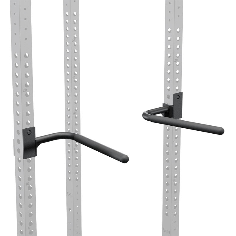 Barres de musculation Pro Dip XM